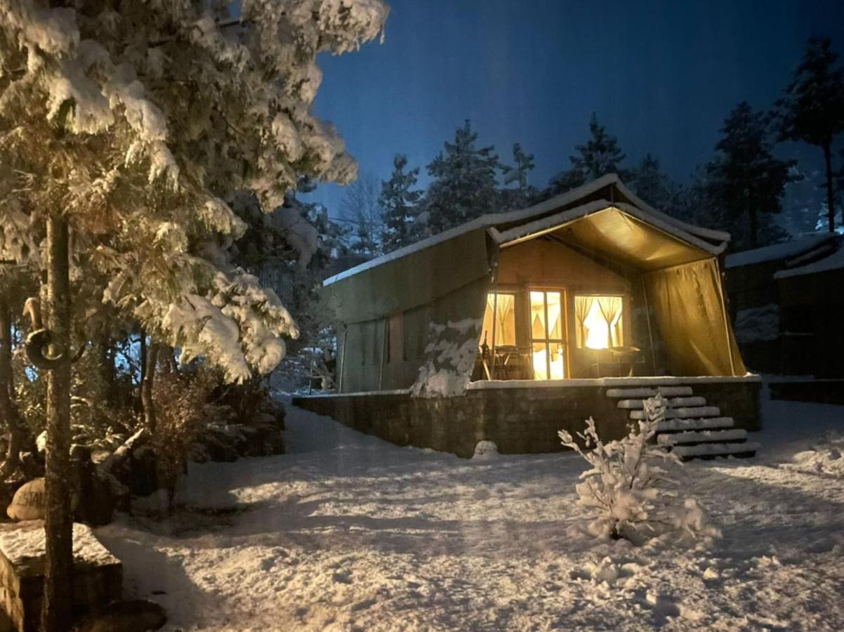 The Tiger Nest Camp Hotel Paro Exterior photo